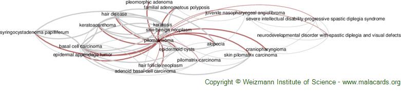 Rubinstein-Taybi Syndrome 2 disease: Malacards - Research Articles, Drugs,  Genes, Clinical Trials