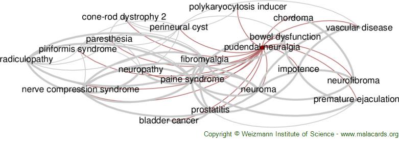 http://malacards.blob.core.windows.net/network-images-v5-17-5/pudendal_neuralgia_related_diseases.jpg