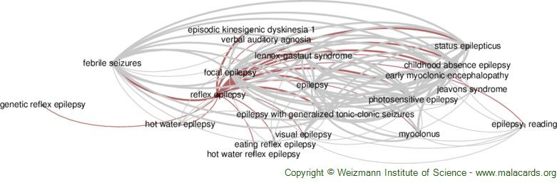 Epilepsy Seizure Monitor for Dom