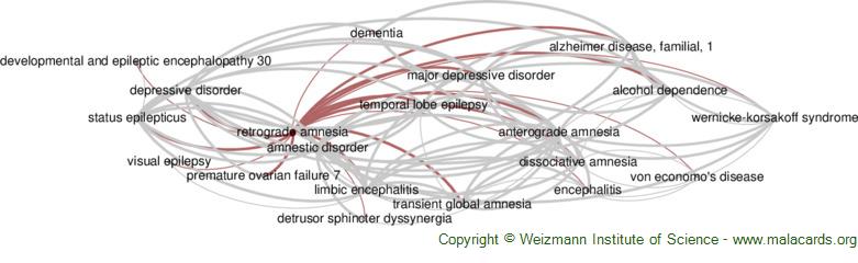 Transient global amnesia - Wikipedia