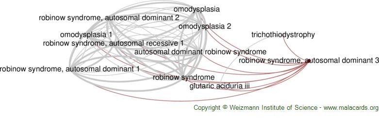 robinow syndrome
