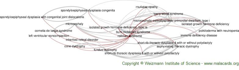 Cornelia de Lange Syndrome - GeneReviews® - NCBI Bookshelf