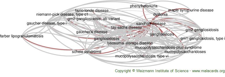 The first family with Tay-Sachs disease in Cyprus: Genetic