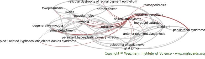 The Network Edge - Neurofibromatosis Network