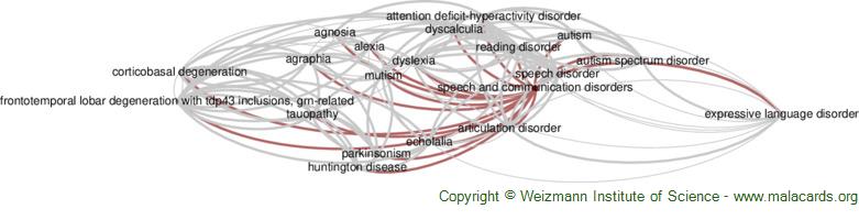 Development and Usability Evaluation of an Application for Language  Literacy of Spanish-Speaking Children with Autism Spectrum Disorder