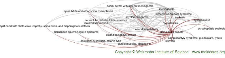 Rubinstein-Taybi Syndrome 2 disease: Malacards - Research Articles, Drugs,  Genes, Clinical Trials