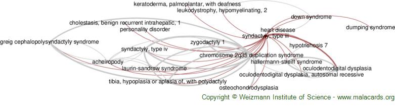 Rubinstein-Taybi Syndrome 2 disease: Malacards - Research Articles, Drugs,  Genes, Clinical Trials