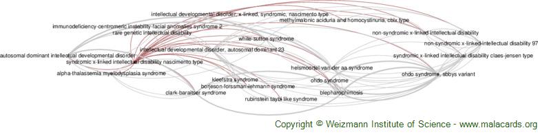 Rubinstein-Taybi Syndrome 2 disease: Malacards - Research Articles, Drugs,  Genes, Clinical Trials
