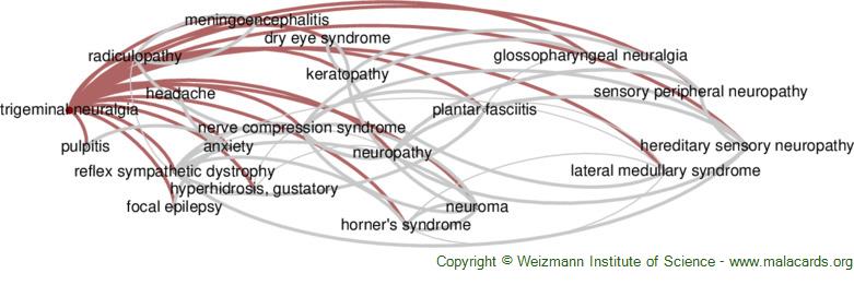 http://malacards.blob.core.windows.net/network-images-v5-17-5/trigeminal_neuralgia_related_diseases.jpg