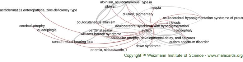 Oculocerebral Syndrome with Hypopigmentation disease: Malacards ...