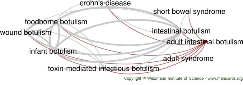 Diseases related to Adult Intestinal Botulism
