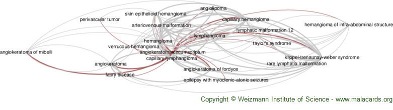 Diseases related to Angiokeratoma Circumscriptum