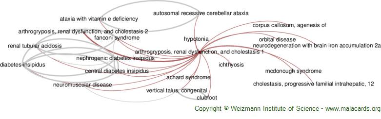 Diseases related to Arthrogryposis, Renal Dysfunction, and Cholestasis 1