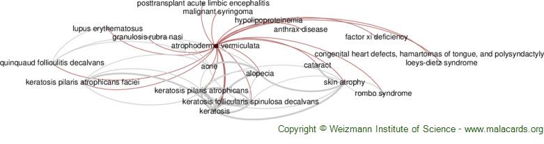Diseases related to Atrophoderma Vermiculata