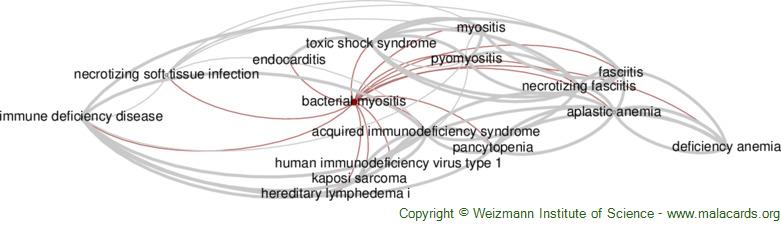 Diseases related to Bacterial Myositis