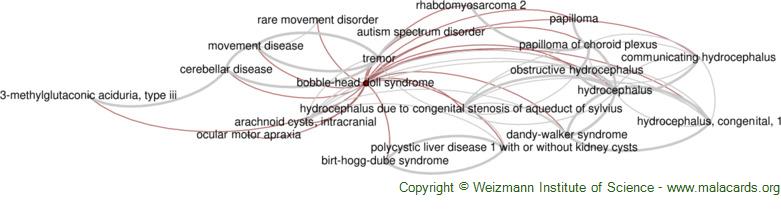 Diseases related to Bobble-Head Doll Syndrome