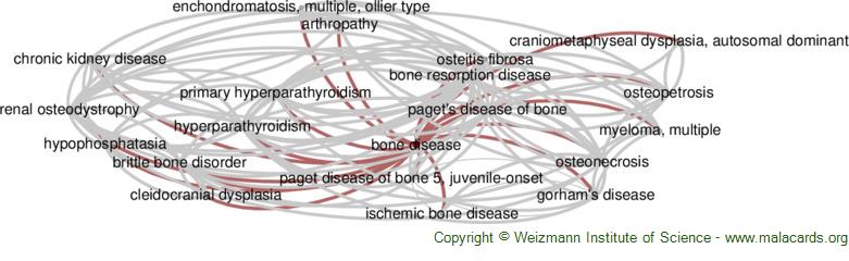 Diseases related to Bone Disease