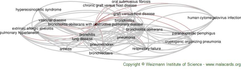 Diseases related to Bronchiolitis Obliterans with Obstructive Pulmonary Disease