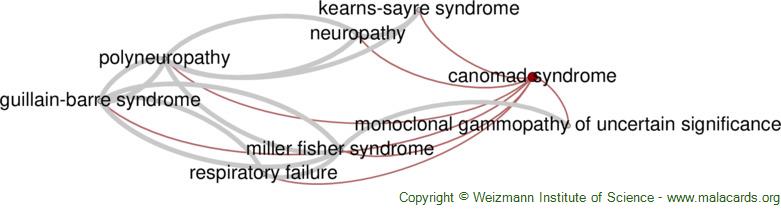 Diseases related to Canomad Syndrome