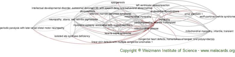 Diseases related to Cardiomyopathy, Infantile Histiocytoid