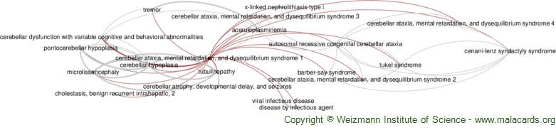 Diseases related to Cerebellar Ataxia, Mental Retardation, and Dysequilibrium Syndrome 1