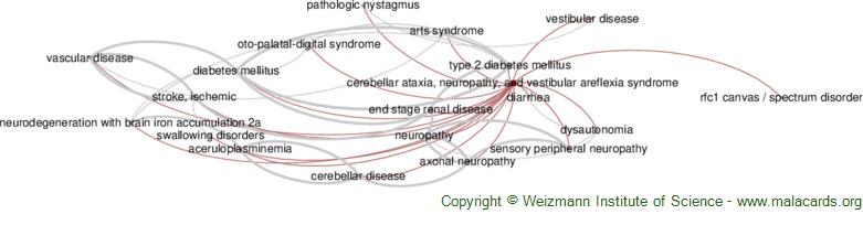 Diseases related to Cerebellar Ataxia, Neuropathy, and Vestibular Areflexia Syndrome
