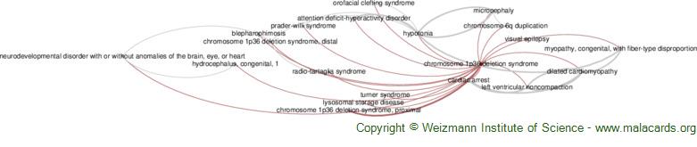 Diseases related to Chromosome 1p36 Deletion Syndrome
