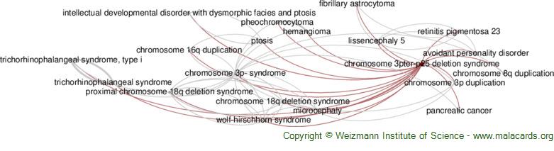 Diseases related to Chromosome 3pter-P25 Deletion Syndrome