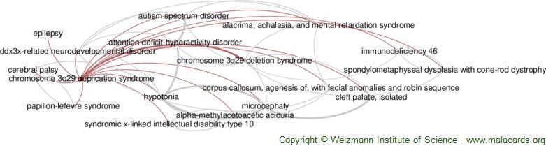 Diseases related to Chromosome 3q29 Duplication Syndrome