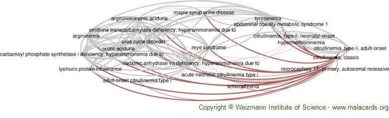 Diseases related to Citrullinemia, Classic