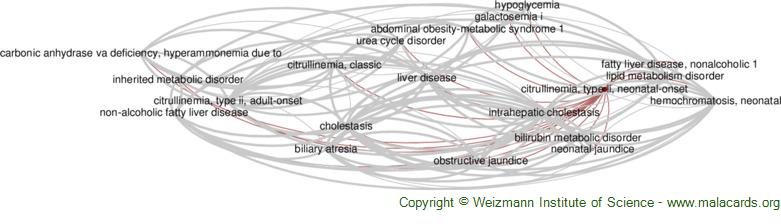 Diseases related to Citrullinemia, Type Ii, Neonatal-Onset