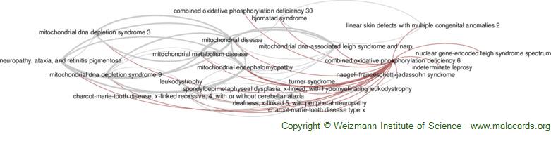 Diseases related to Combined Oxidative Phosphorylation Deficiency 6