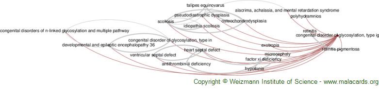 Diseases related to Congenital Disorder of Glycosylation, Type Ig