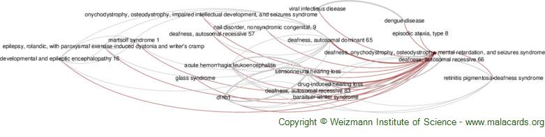 Diseases related to Deafness, Onychodystrophy, Osteodystrophy, Mental Retardation, and Seizures Syndrome