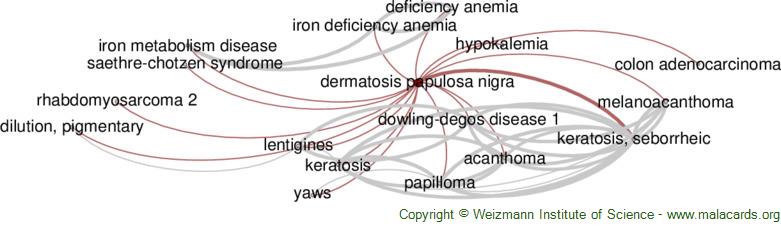 Diseases related to Dermatosis Papulosa Nigra