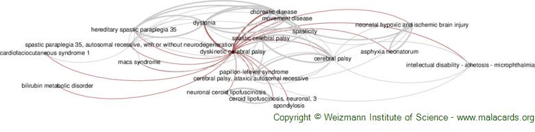 Diseases related to Dyskinetic Cerebral Palsy