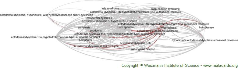 Diseases related to Ectodermal Dysplasia 11b, Hypohidrotic/hair/tooth Type, Autosomal Recessive