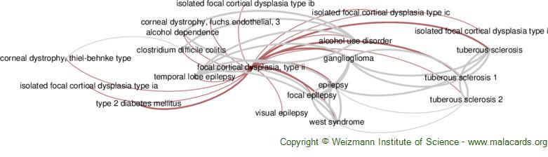 Diseases related to Focal Cortical Dysplasia, Type Ii