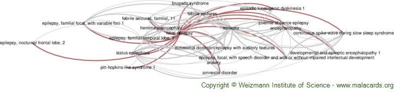 Diseases related to Focal Epilepsy