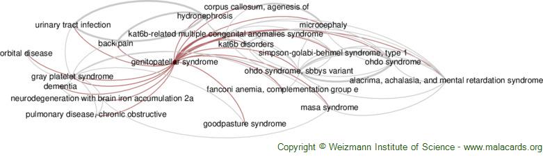 Diseases related to Genitopatellar Syndrome