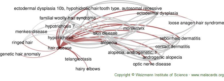 Diseases related to Hair Disease