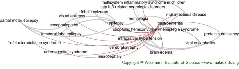 Diseases related to Idiopathic Hemiconvulsion-Hemiplegia Syndrome