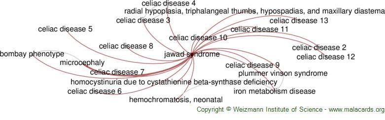 Jawad Syndrome disease: Malacards - Research Articles, Drugs, Genes ...