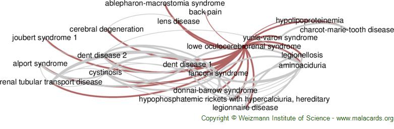 Diseases related to Lowe Oculocerebrorenal Syndrome