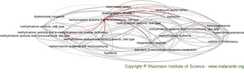 Diseases related to Methylmalonic Aciduria and Homocystinuria, Cblf Type