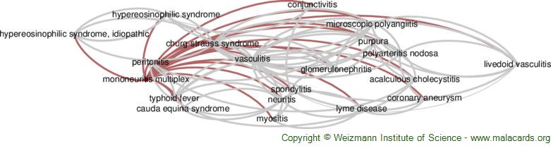 Diseases related to Mononeuritis Multiplex