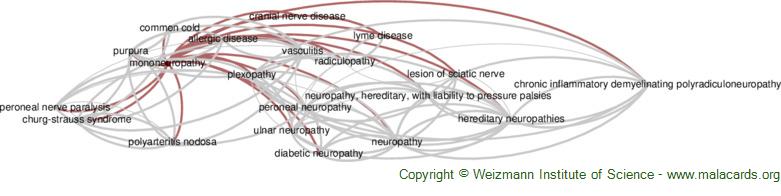 Diseases related to Mononeuropathy