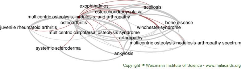 Diseases related to Multicentric Osteolysis, Nodulosis, and Arthropathy