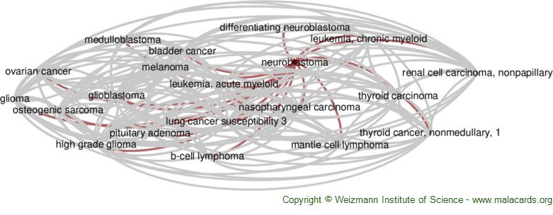 Neuroblastoma disease: Malacards - Research Articles, Drugs, Genes 