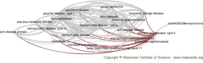 Diseases related to Niemann-Pick Disease, Type B